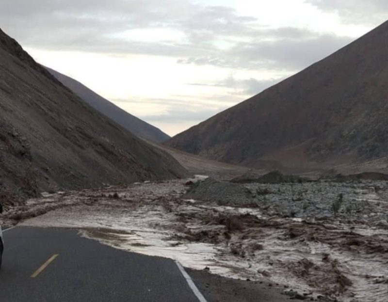 WhatsApp Image 2025-03-01 at 17.09.17